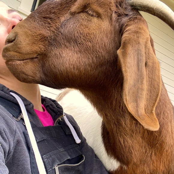 Meet your Posher, JJ - Picture 4 of 7